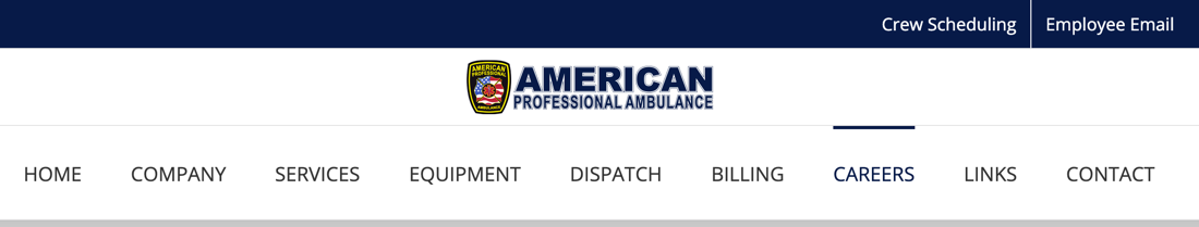 American Professional Ambulance